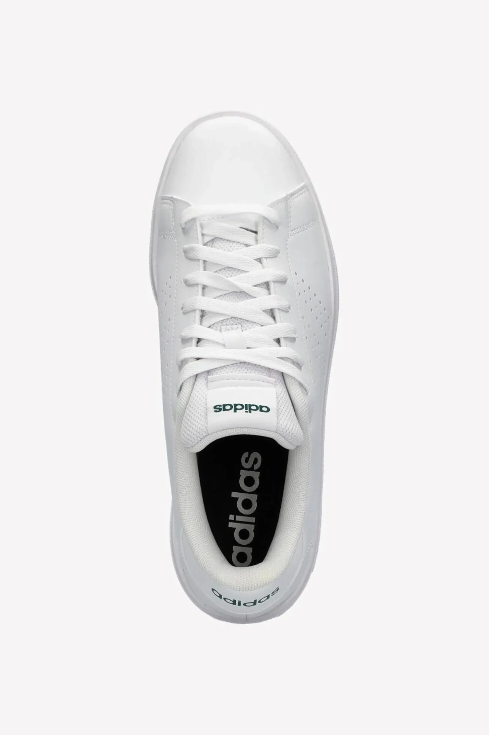adidas Advantage Base 2.0