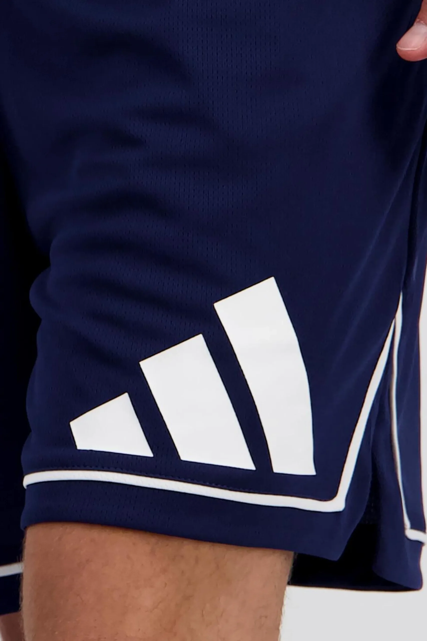 adidas Badge Of Sport Celtics