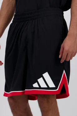 adidas Badge Of Sport Celtics