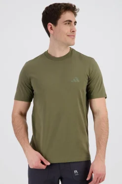 adidas M Terrex Gt