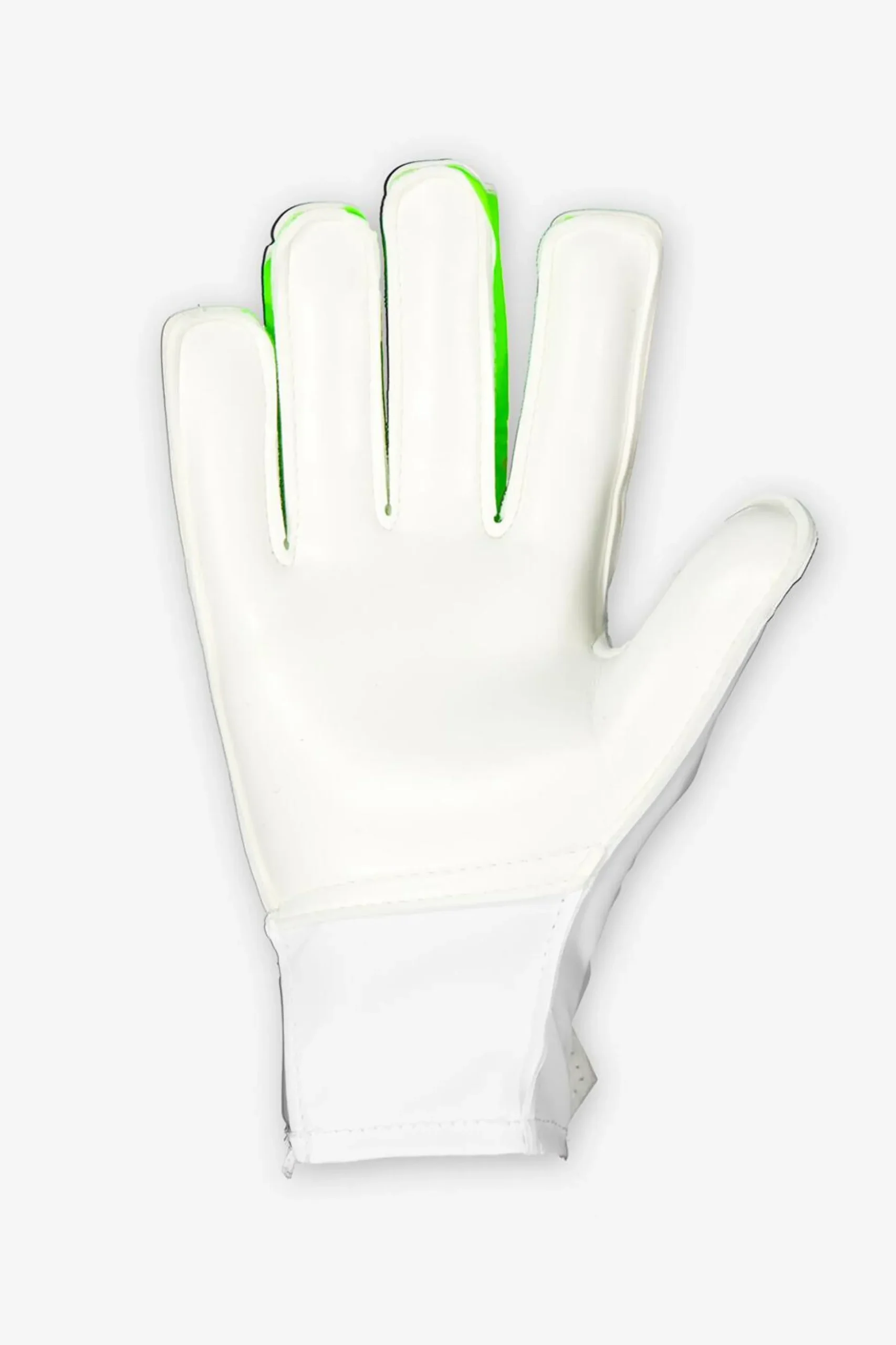 adidas Predator
