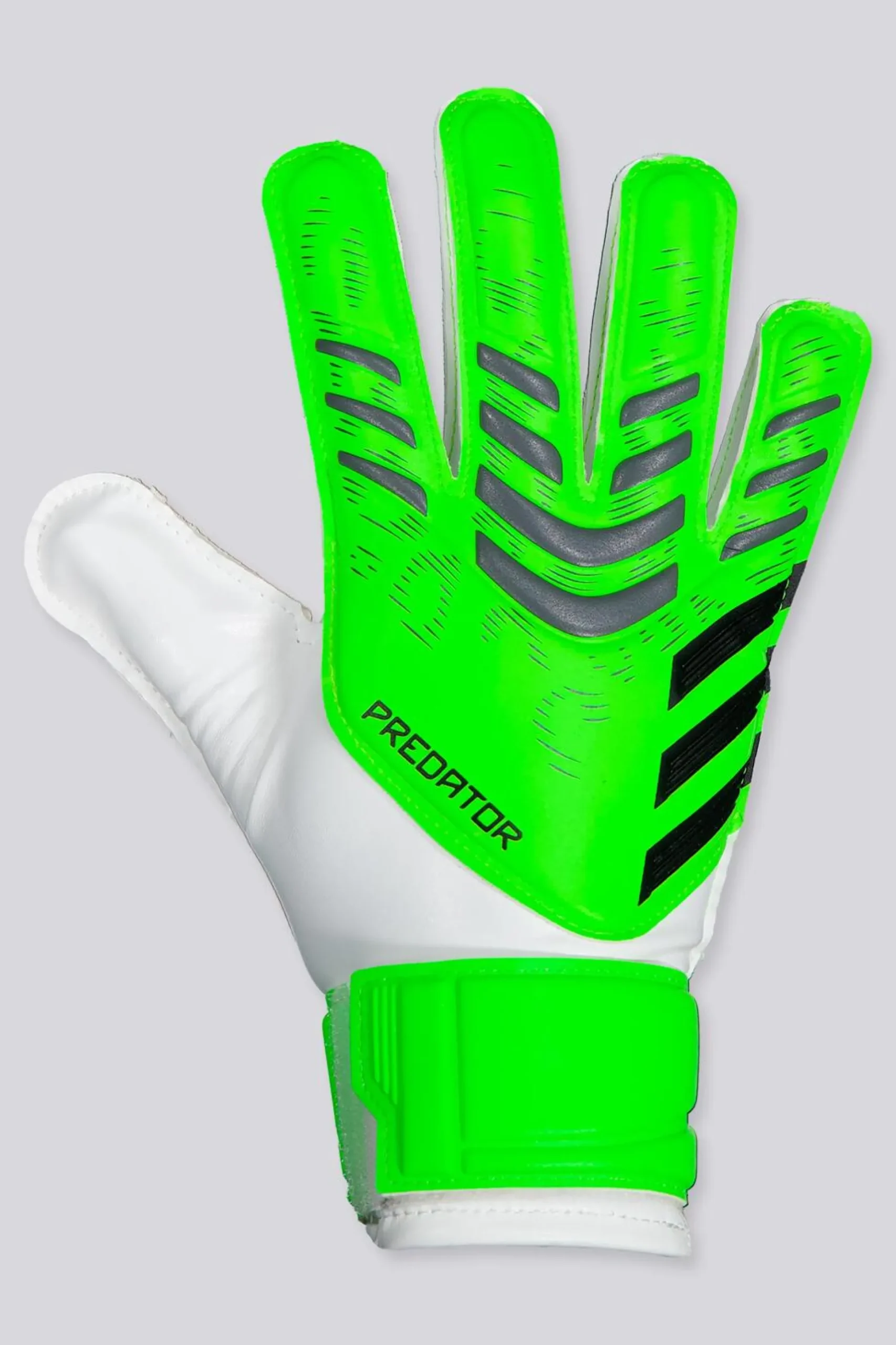 adidas Predator