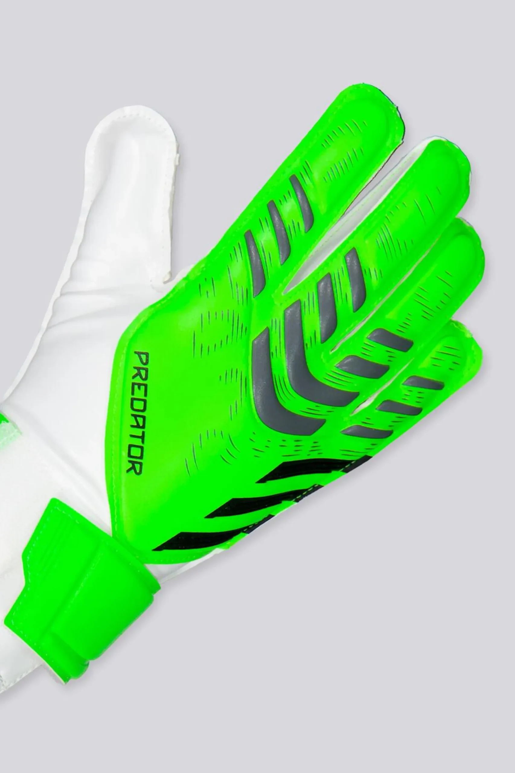 adidas Predator