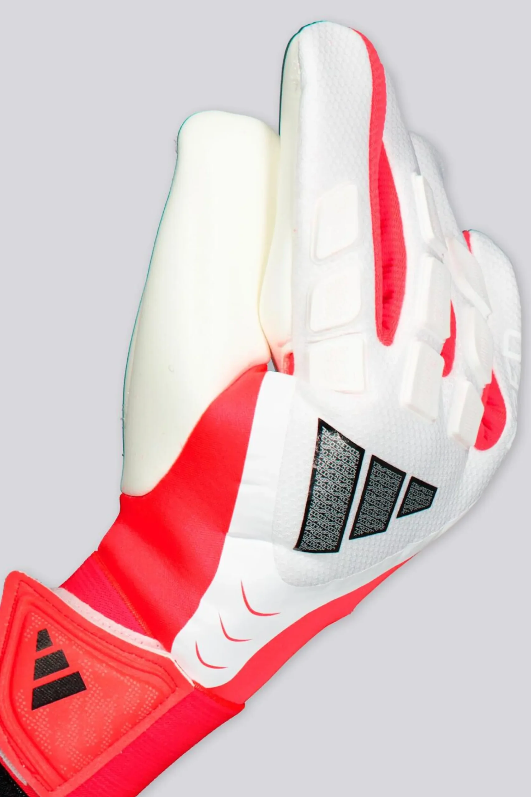 adidas Predator Competition