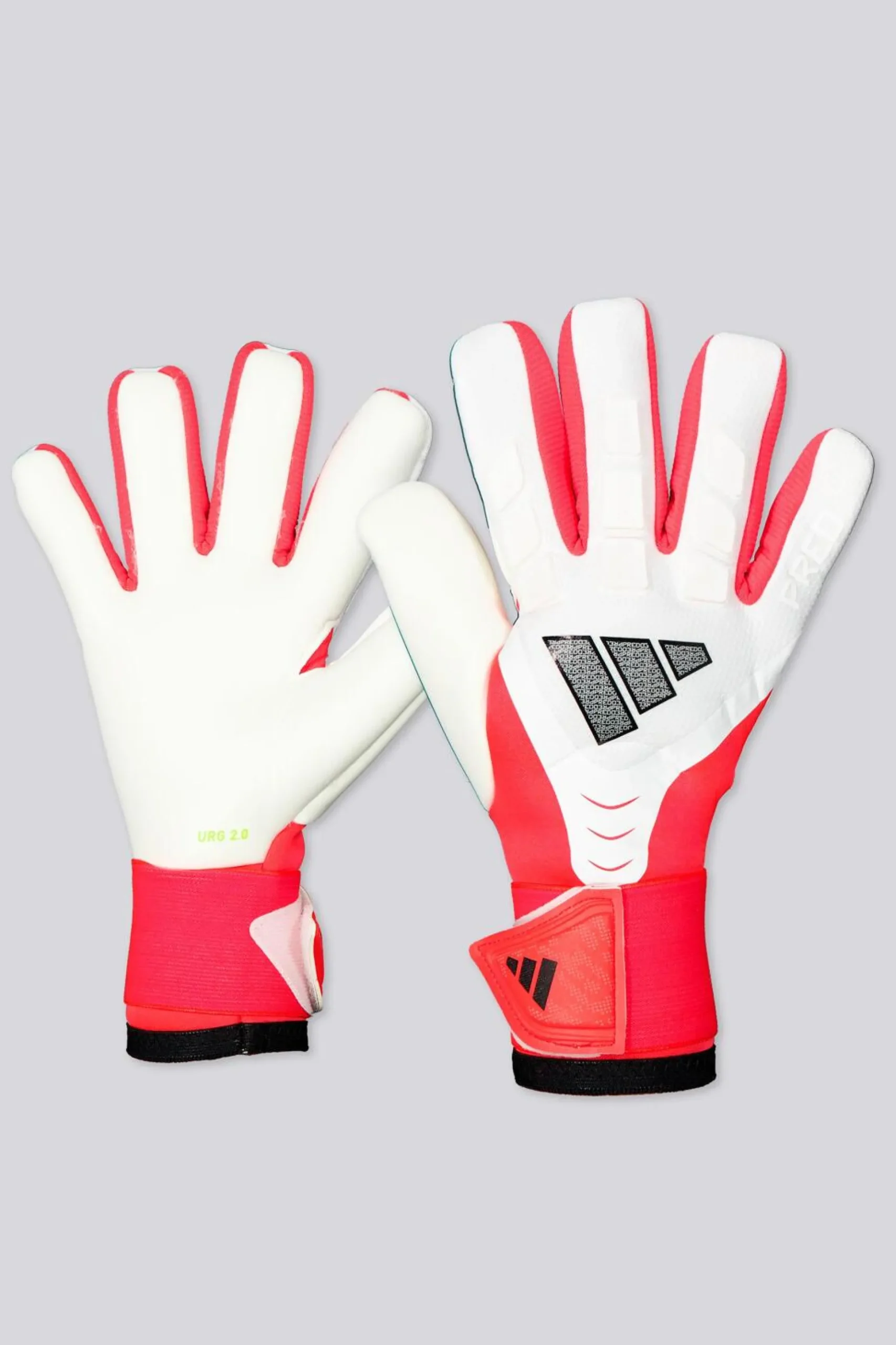 adidas Predator Competition