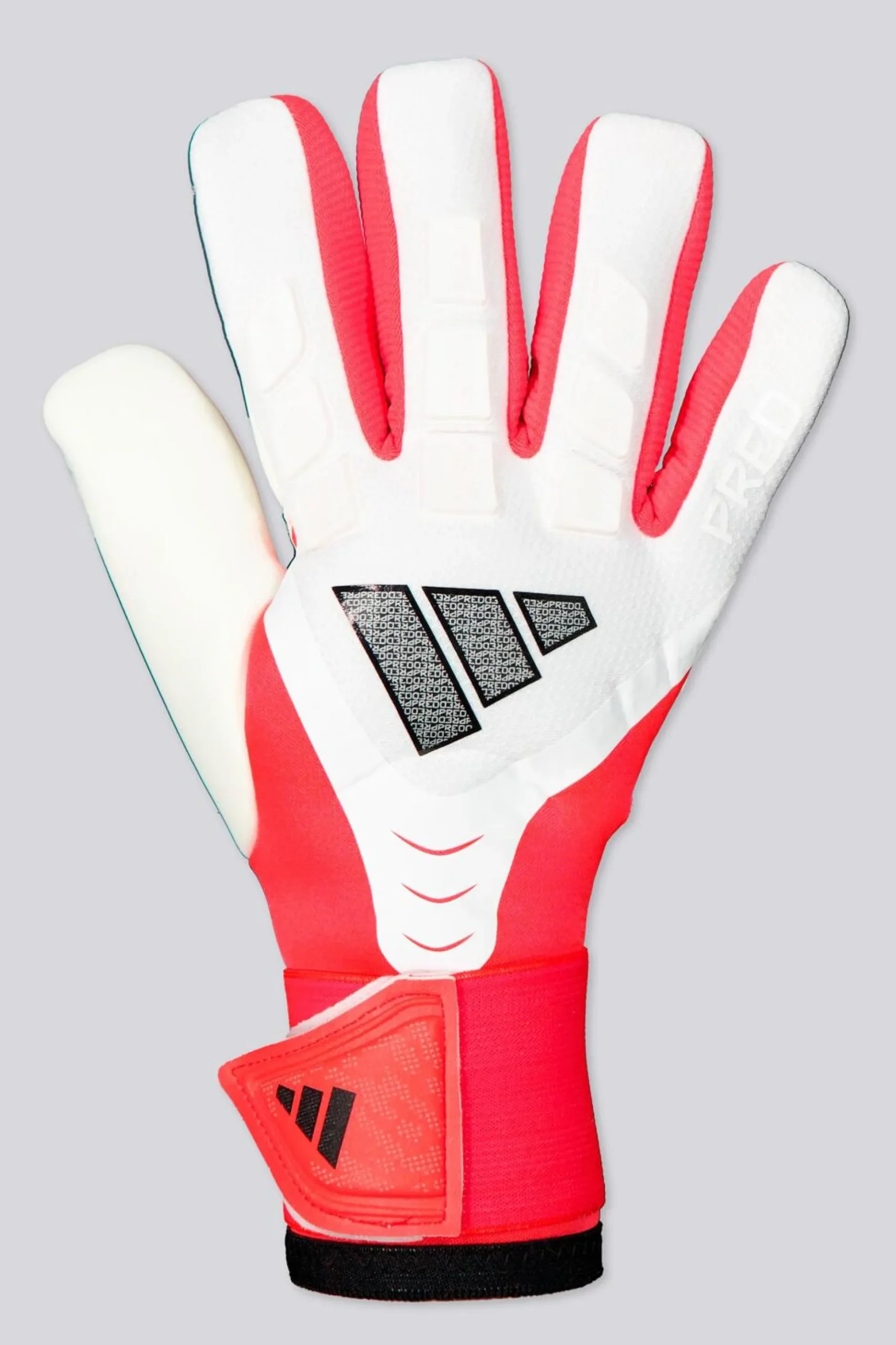 adidas Predator Competition