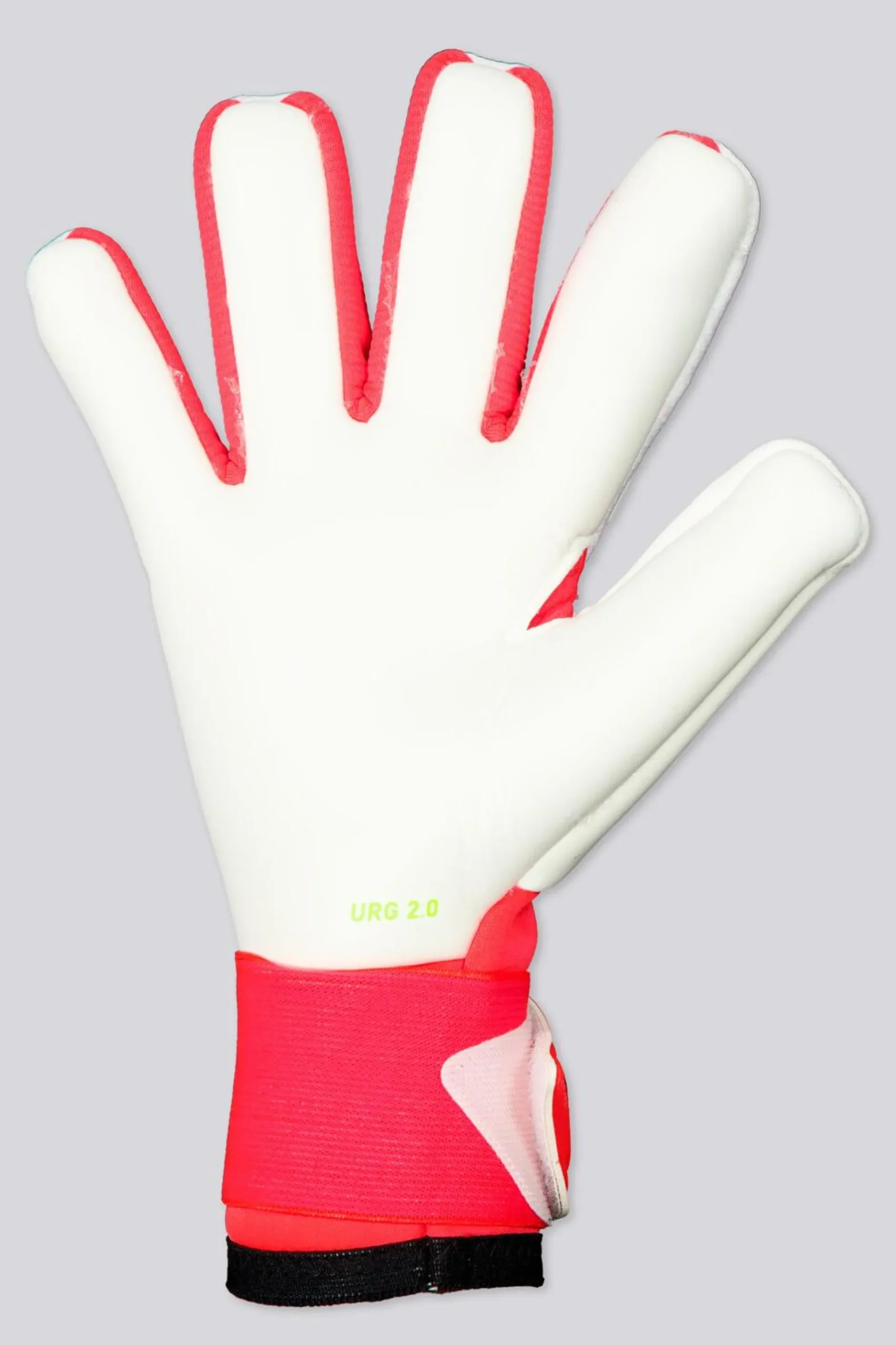adidas Predator Competition
