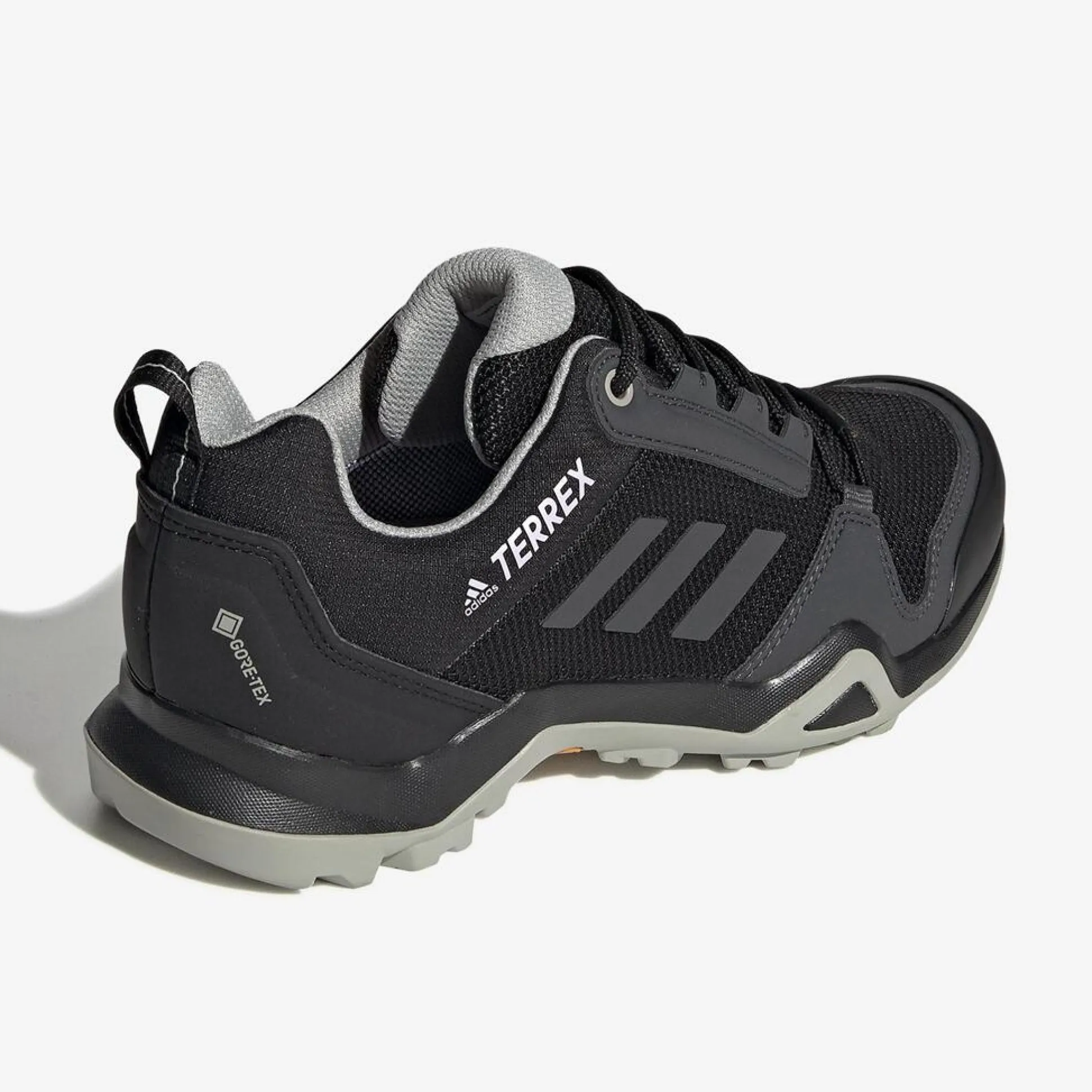 adidas Terrex Ax3 Gtx