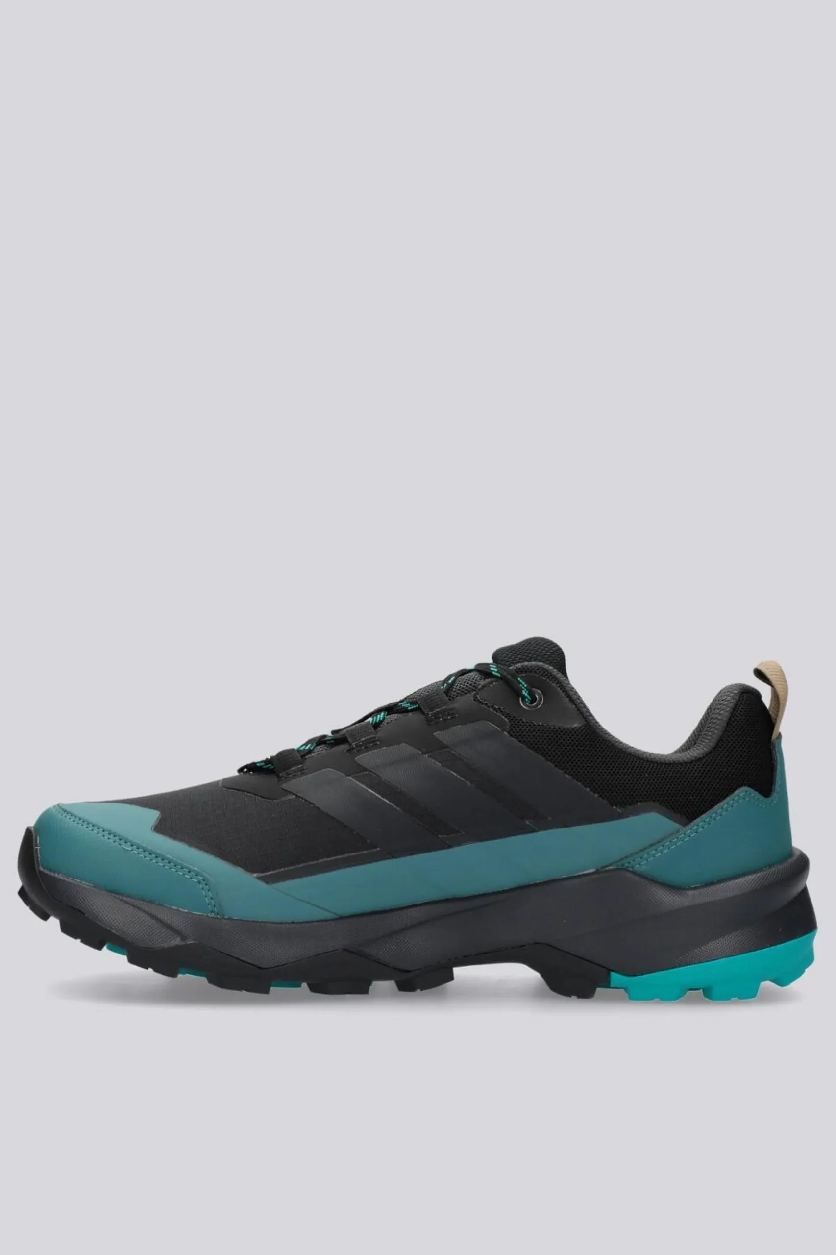 adidas Terrex Skychaser Ax5