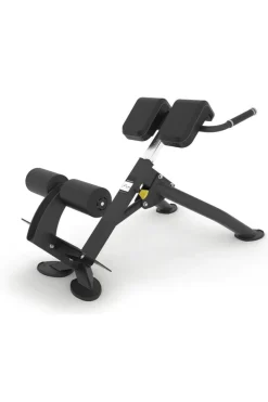 Banco De Hiperextensión Evolve Fitness Pr-220