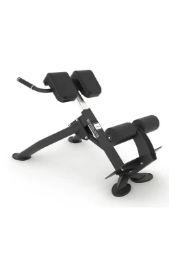 Banco De Hiperextensión Evolve Fitness Pr-220