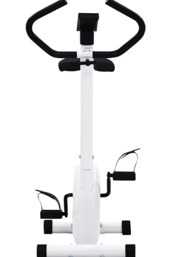 Bicicleta Estática Vidaxl Con Resistencia