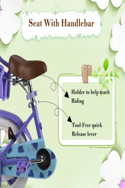Bicicleta Infantil Ruedines, 12