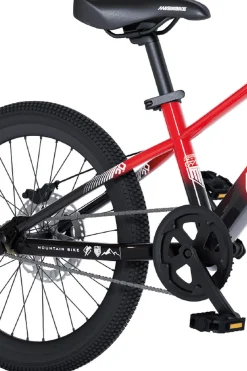 Bicicleta 20