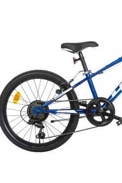 Bicicleta Niños 20 Pulgadas Aurelia 7 Años
