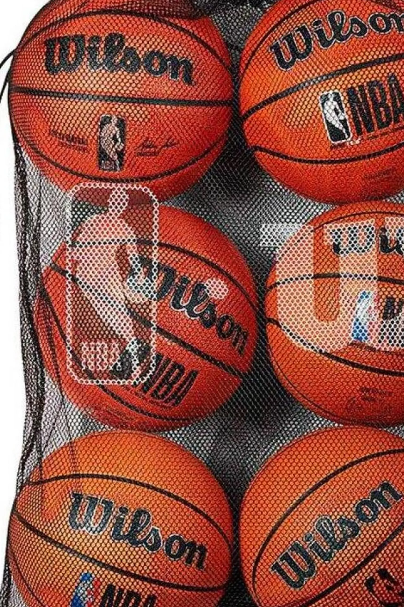 Bolsa De Baloncesto Wilson NBA