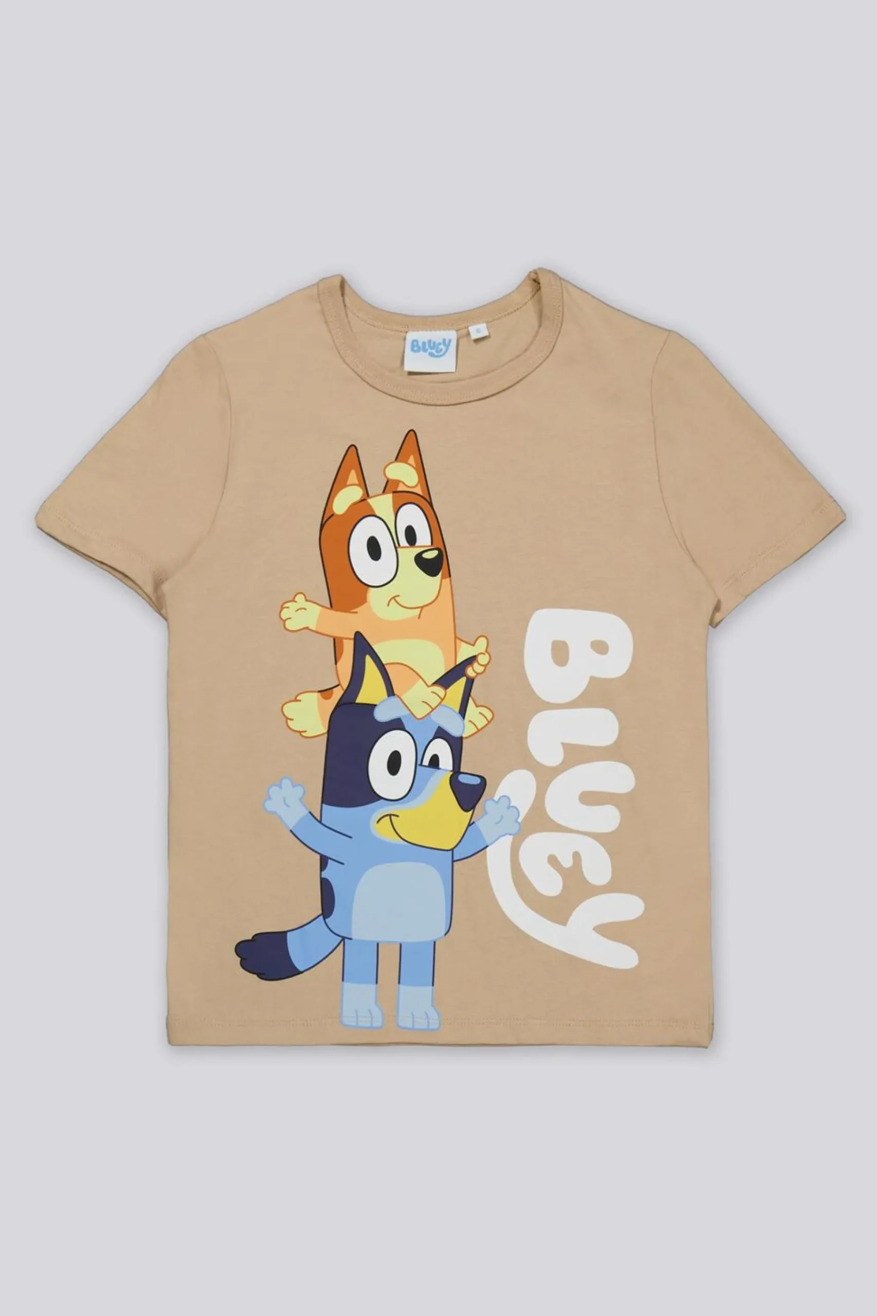 Camiseta Bluey