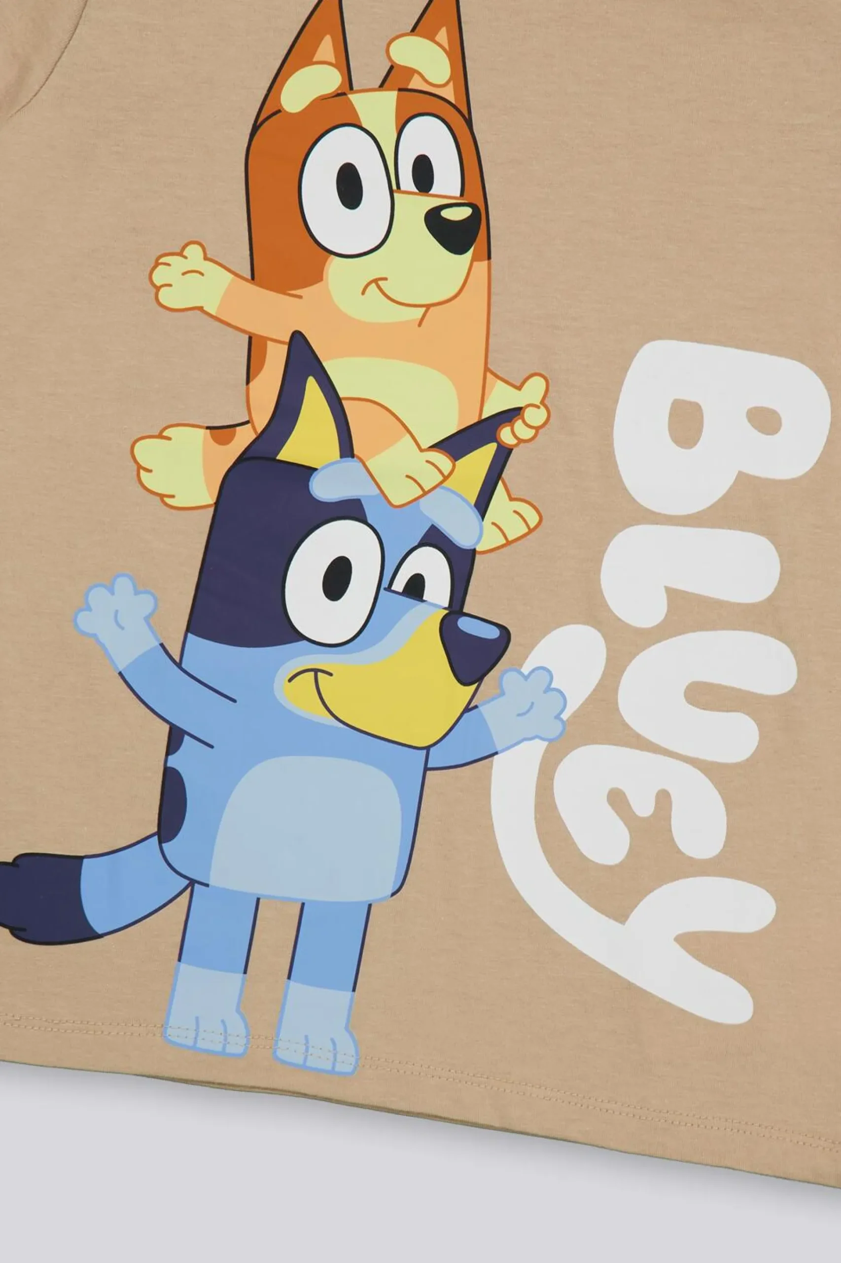 Camiseta Bluey