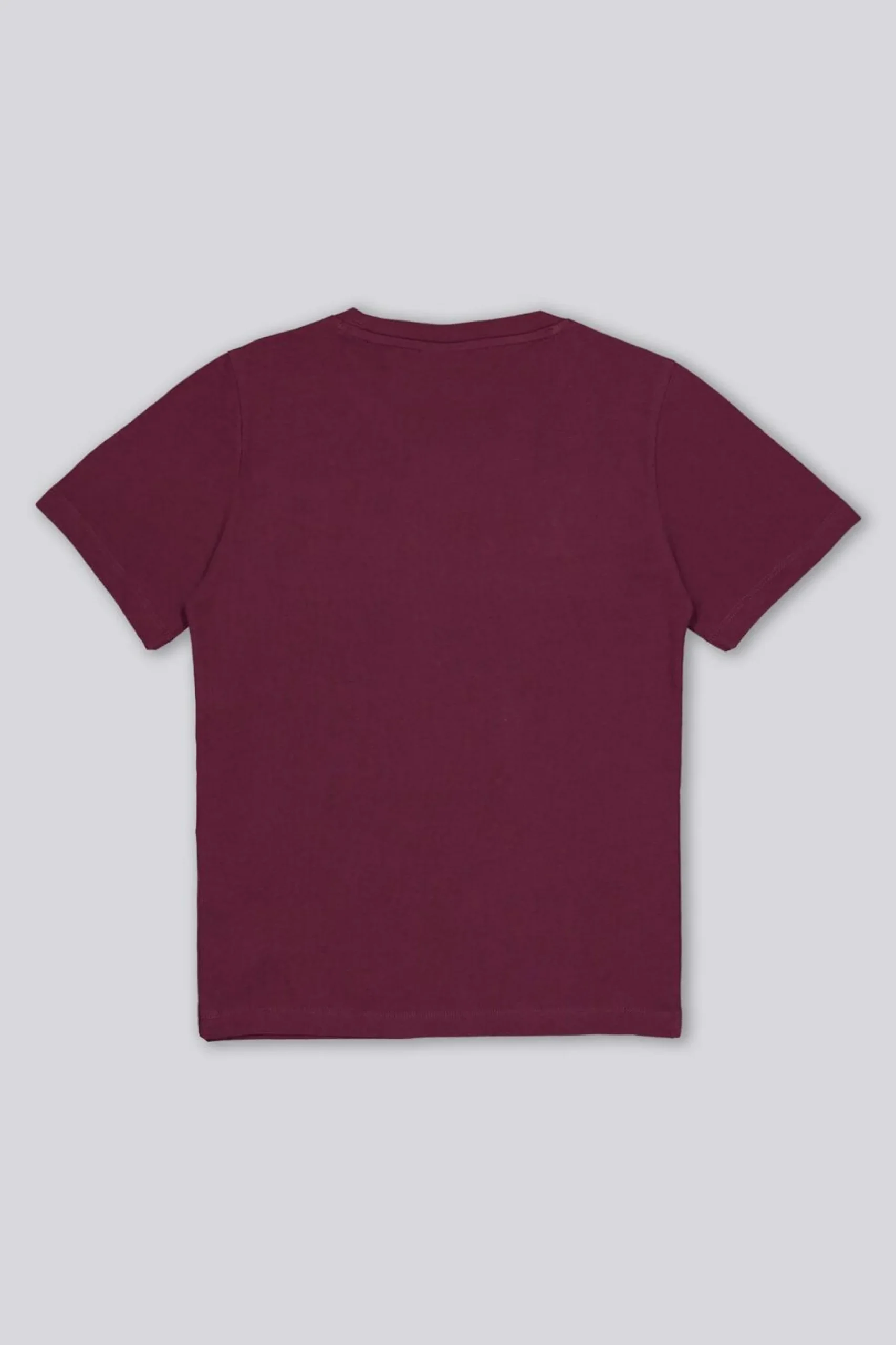 Camiseta Champion