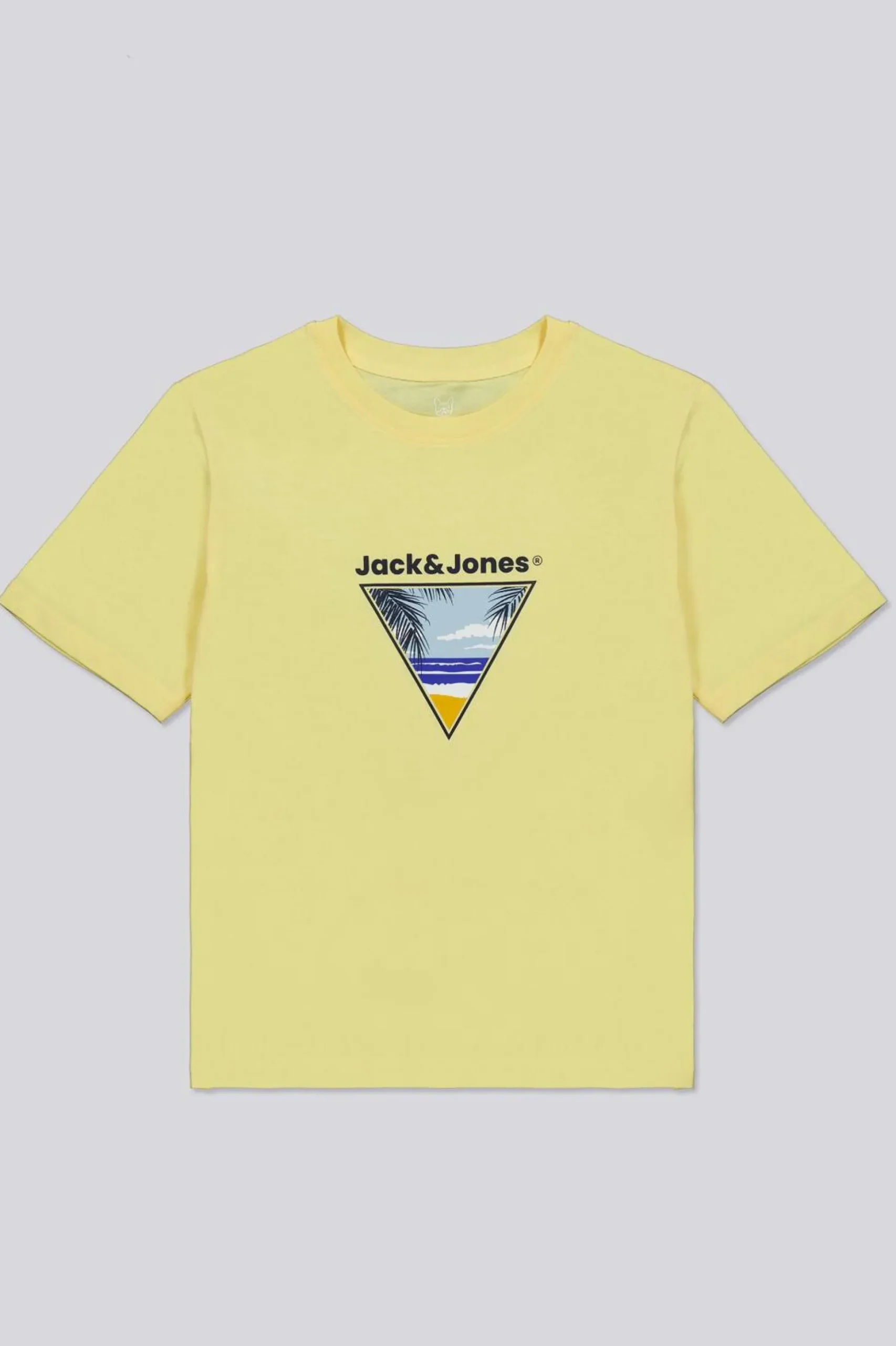 Camiseta Jack & Jones