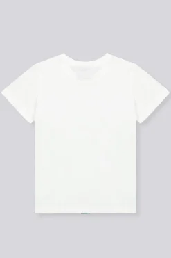 Camiseta Minecraft