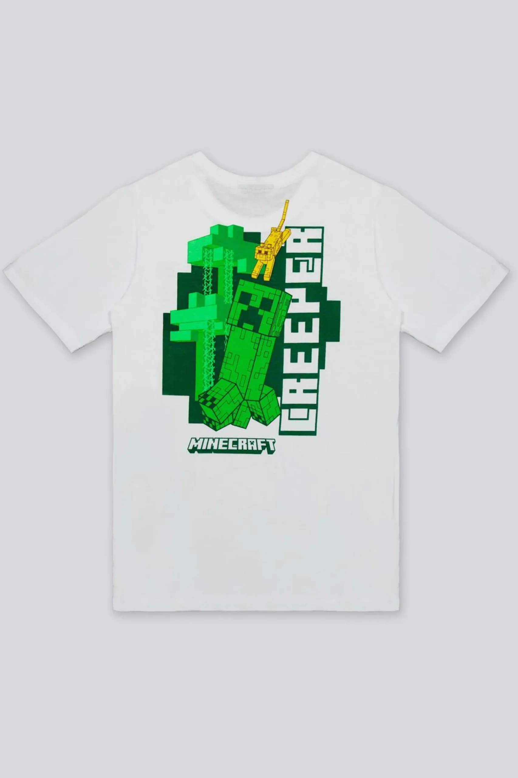 Camiseta Minecraft
