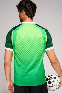 1ª Camiseta Nigeria Mundial 2026 Réplica