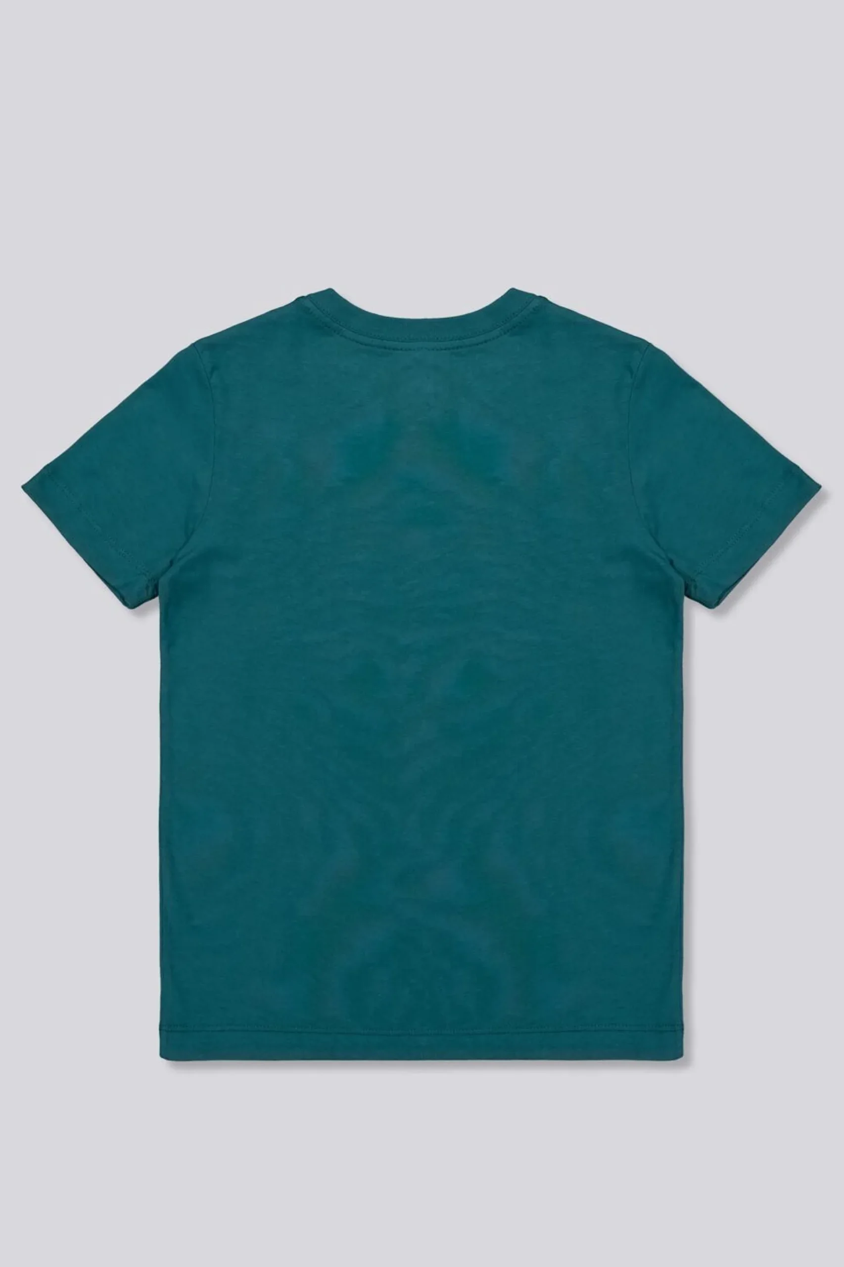 Camiseta Nike