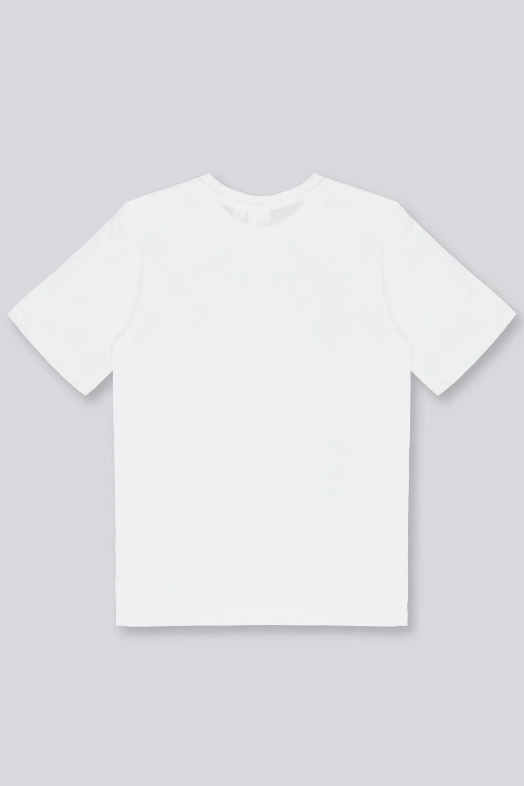 Camiseta One Piece