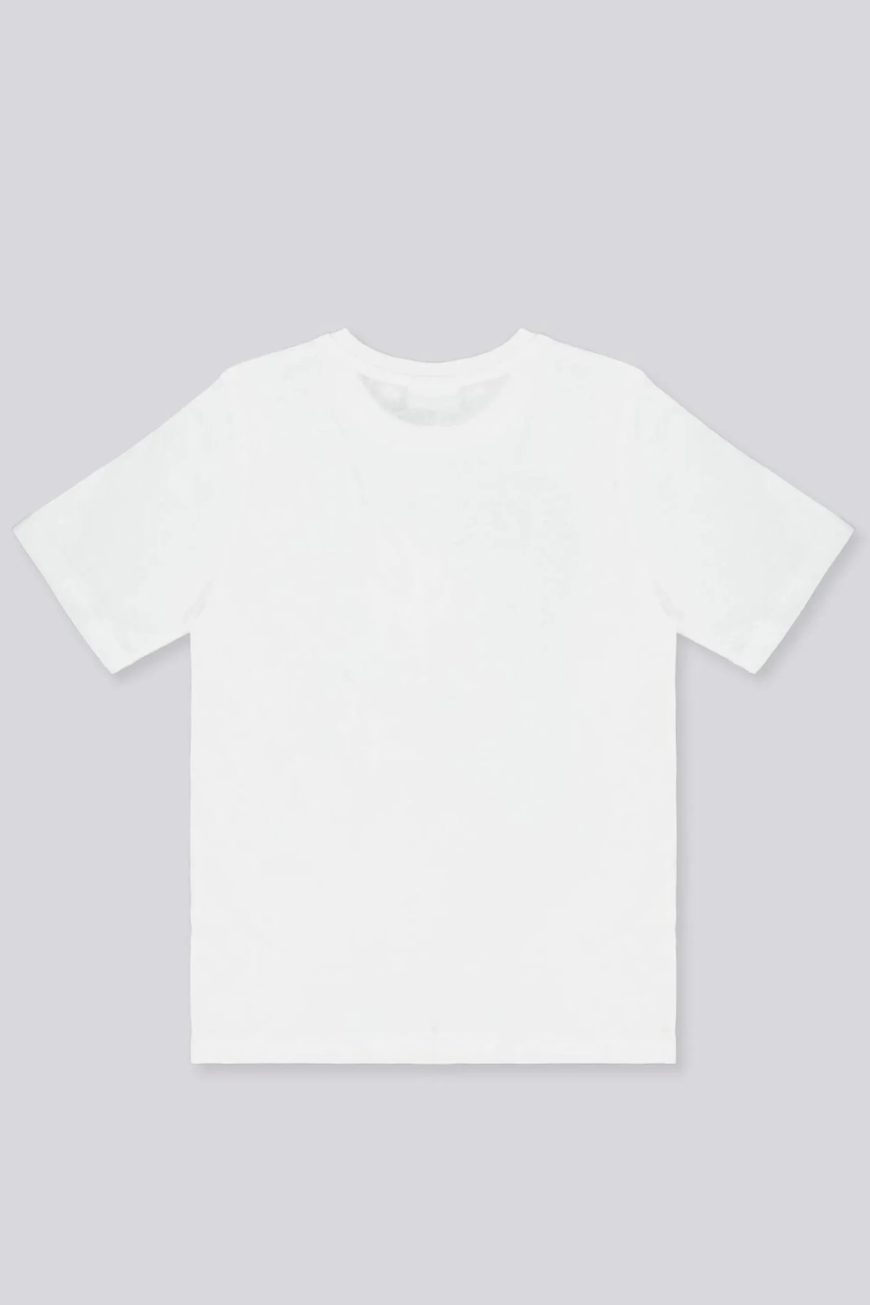 Camiseta Super Goku