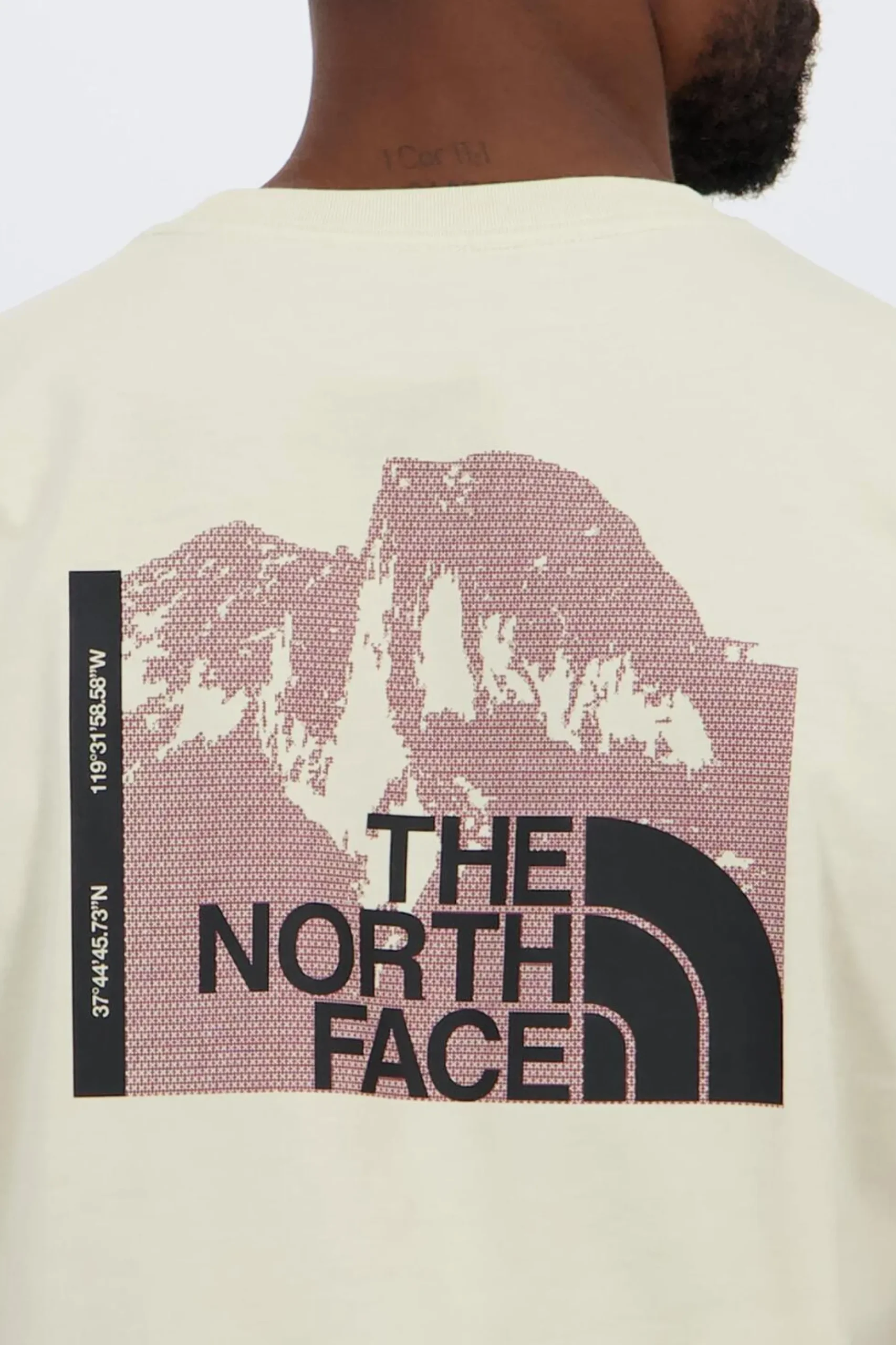 Camiseta The North Face
