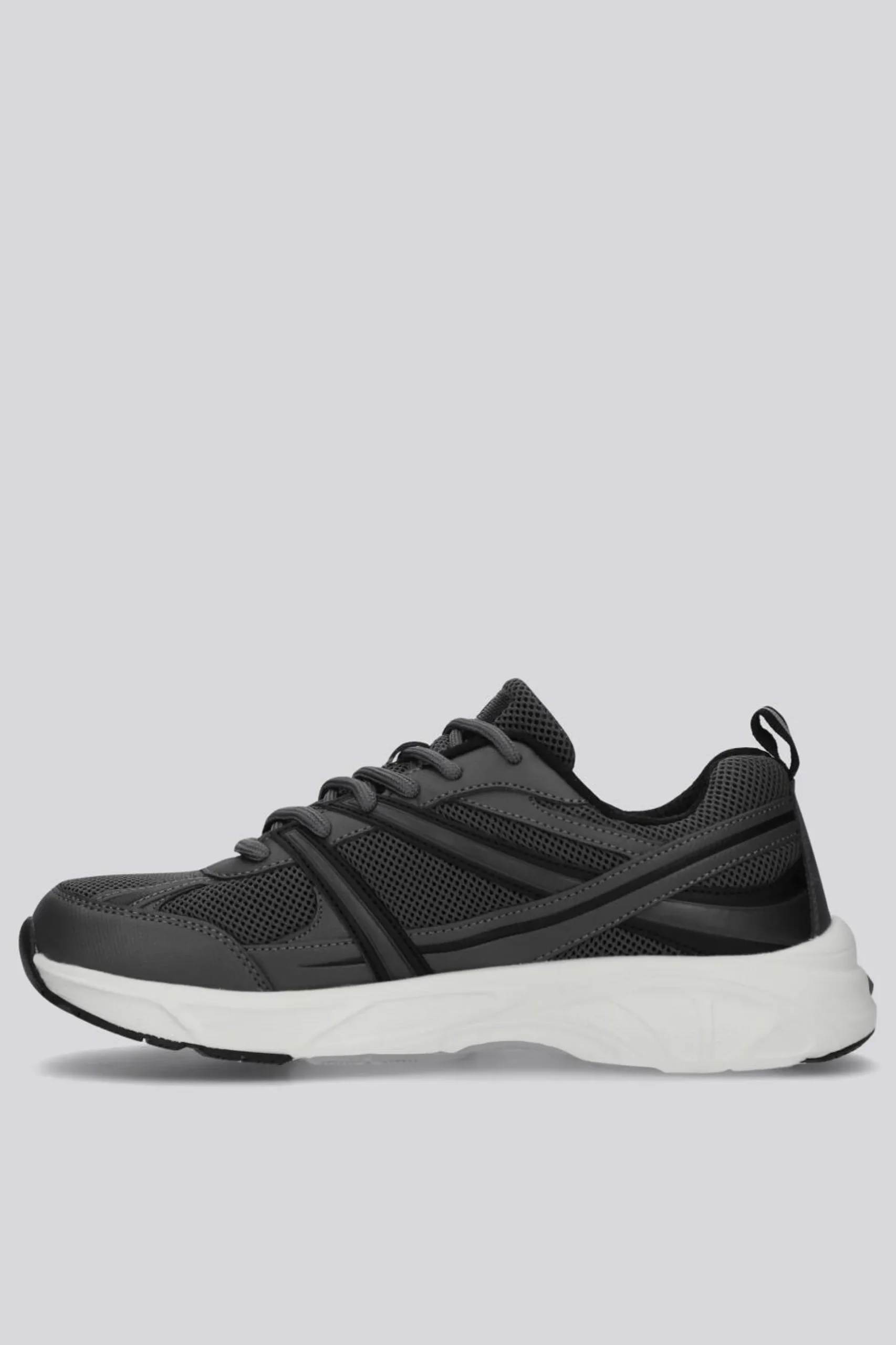 Champion Rt25 Pure