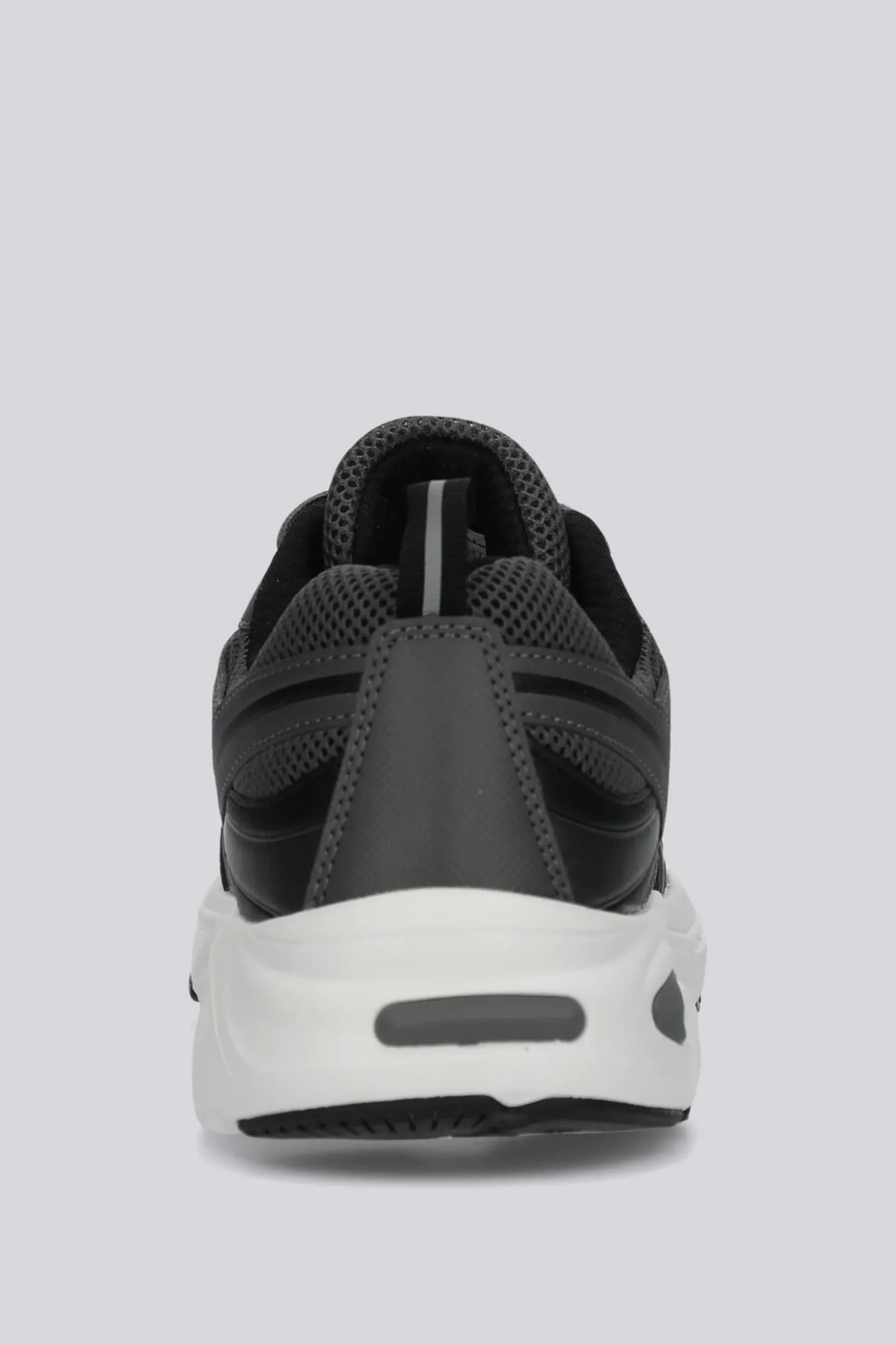 Champion Rt25 Pure