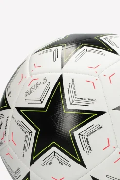 Champions League Trainer 24/25