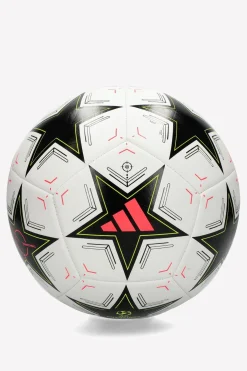 Champions League Trainer 24/25