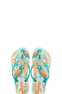 Chanclas Ipanema Temas Kids