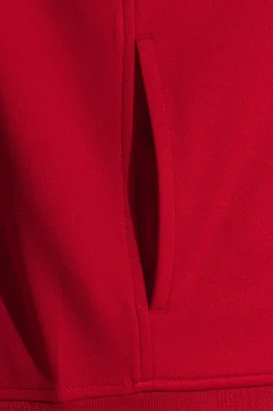 Chándal Joma Lion II