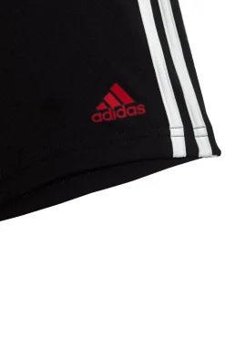 Conjunto adidas Lineage