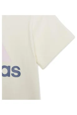 Conjunto adidas Linear Co