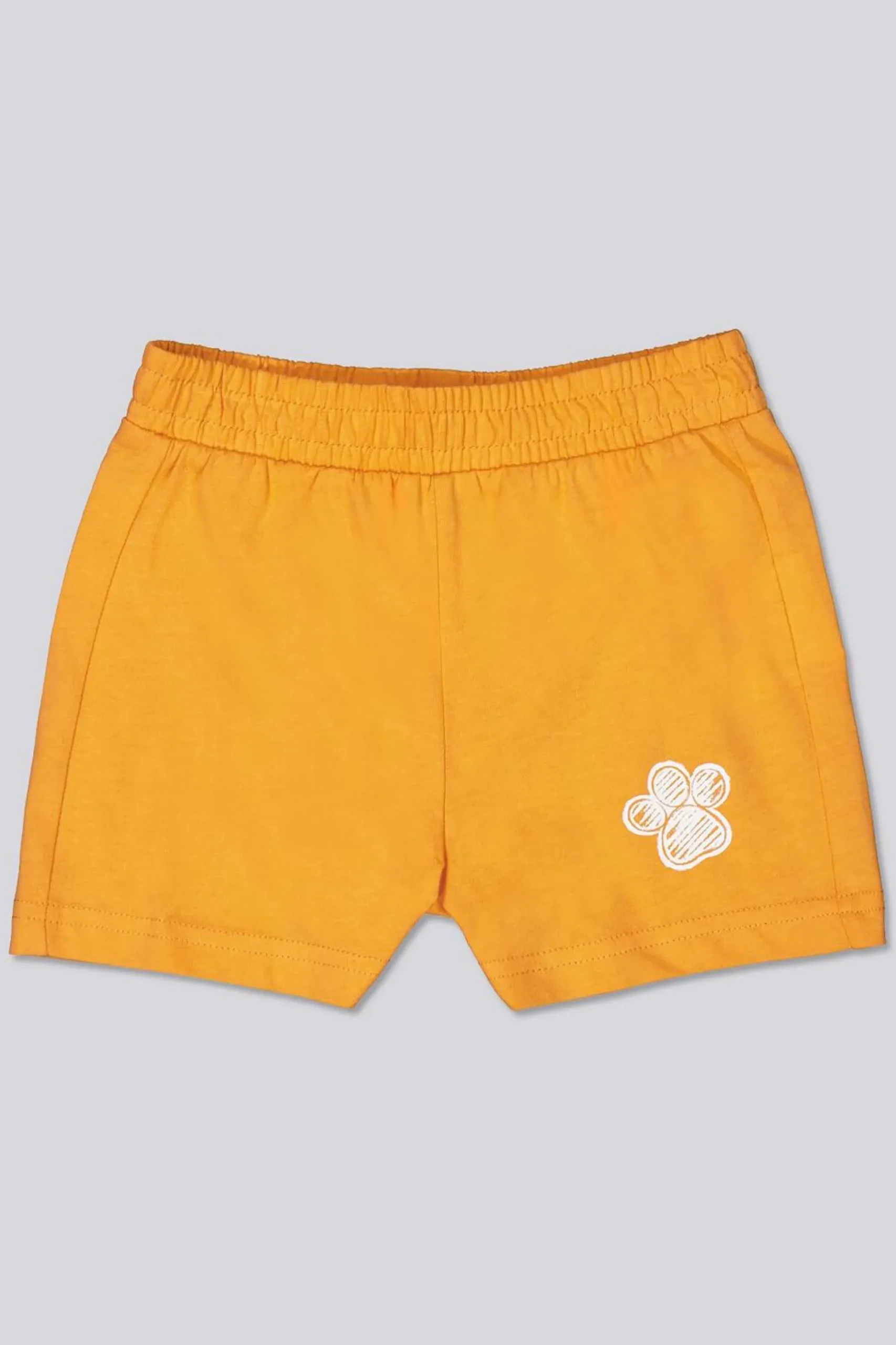 Conjunto Patrulla Canina