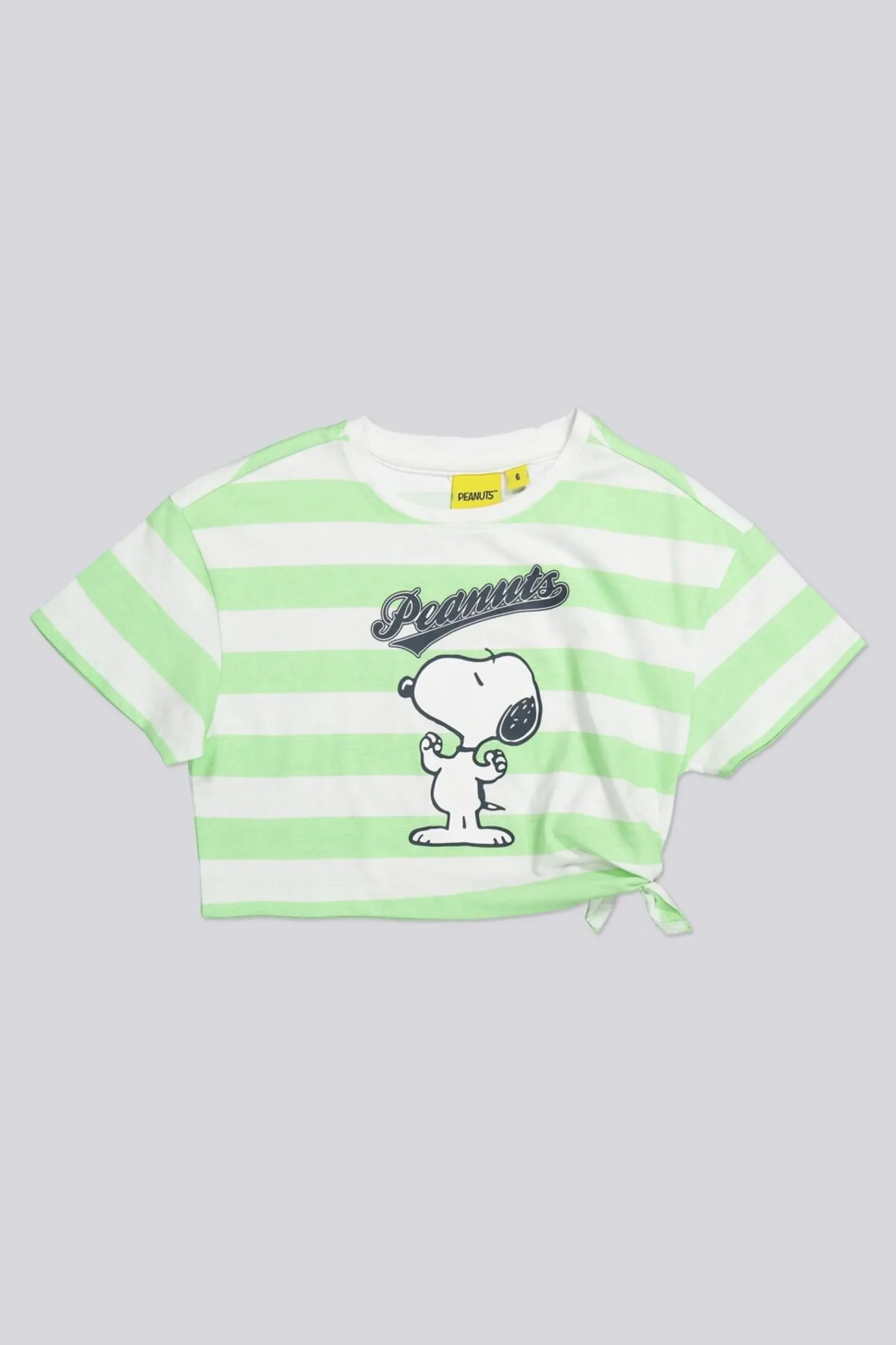 Conjunto Snoopy