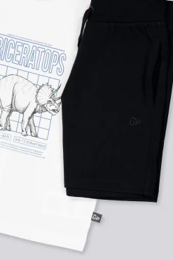 Conjunto Up