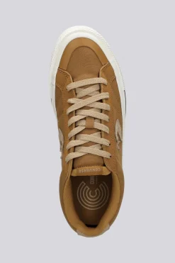 Converse Sport Casual Canvas
