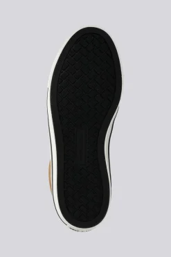 Converse Sport Casual Canvas
