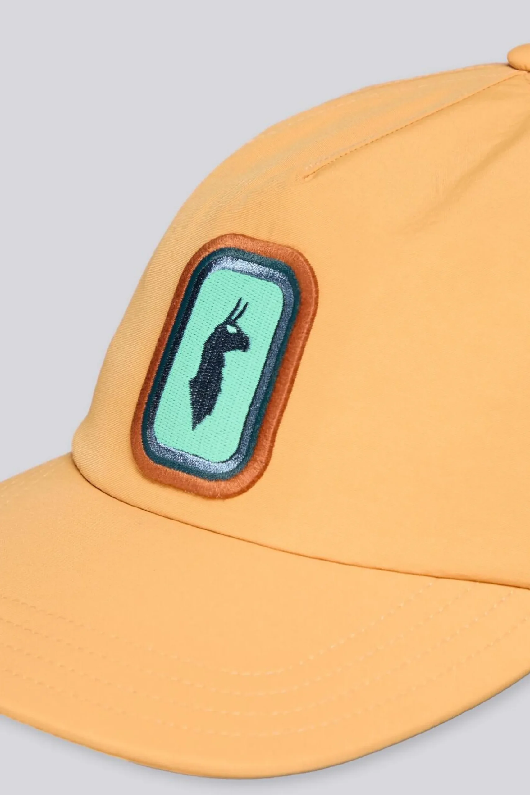 Cotopaxi Radiant Llama