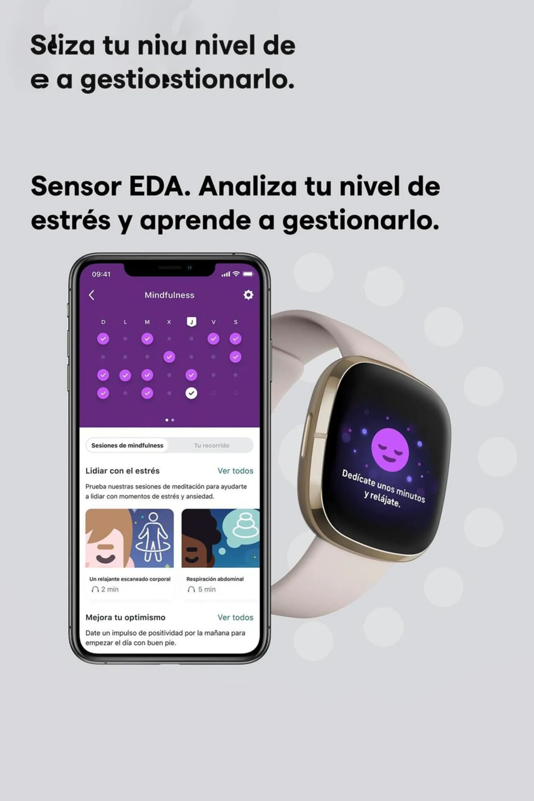 Fitbit Sense