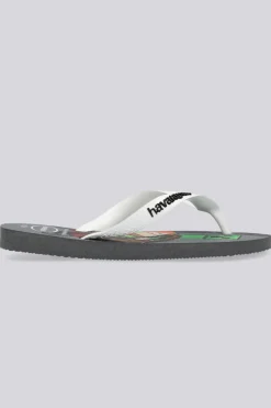 Havaianas Minecraft