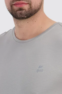 Ipso Basic
