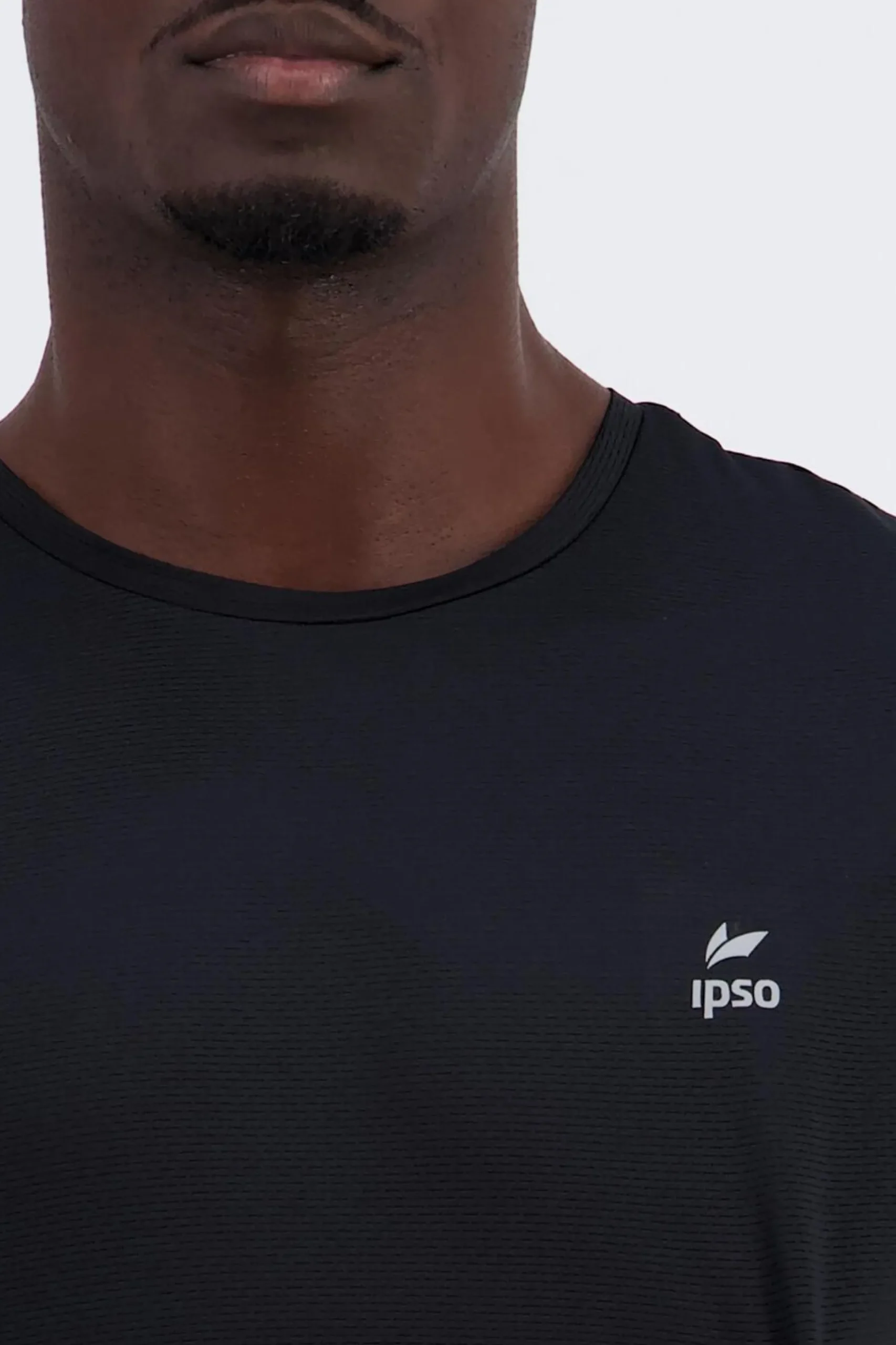 Ipso Basic