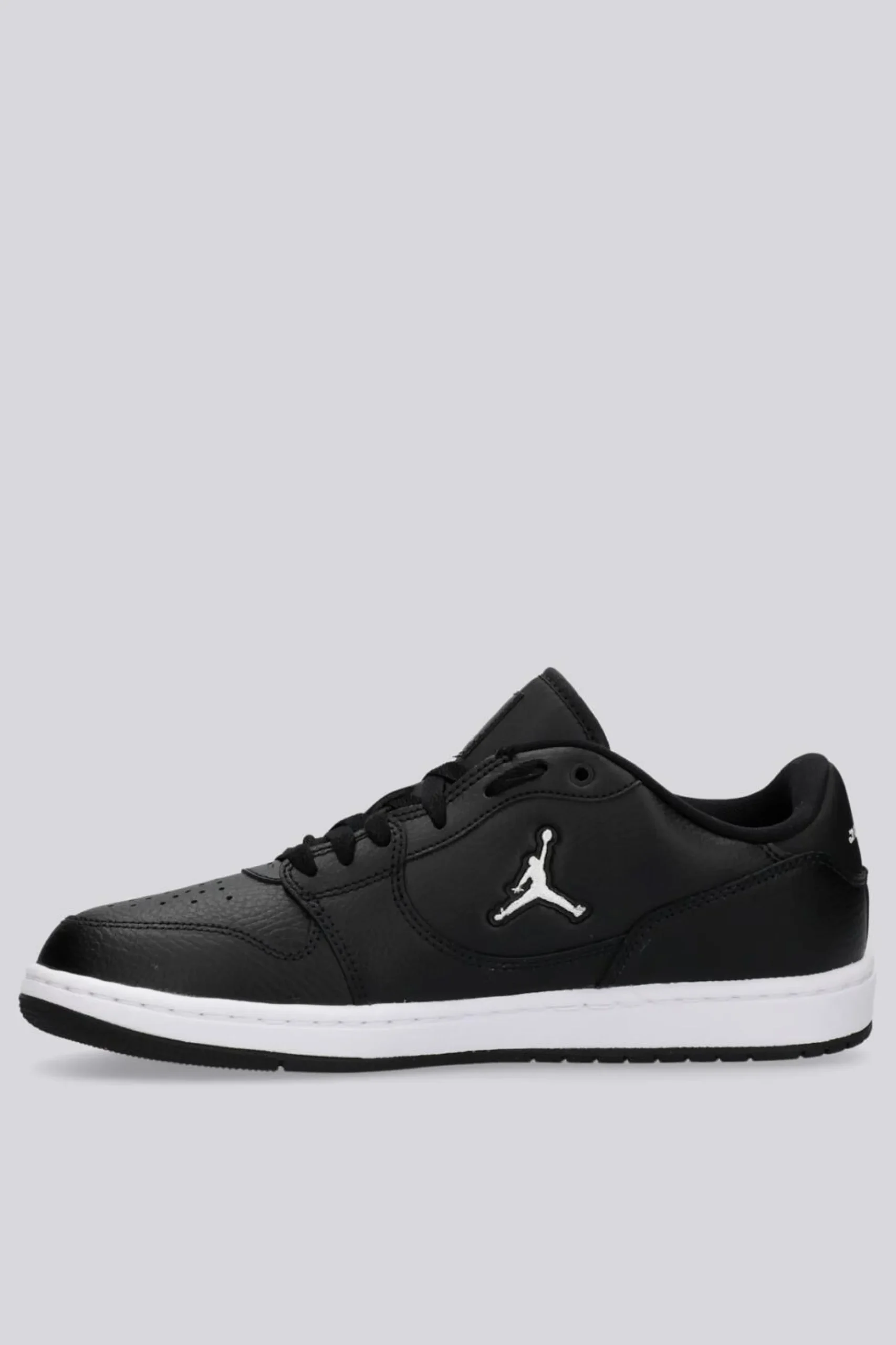 Jordan Acces Court Low
